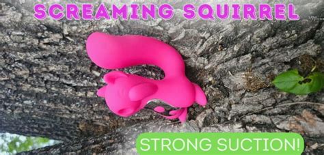 the squirrel sex toy|Screaming Squirrel vibrator review – OMG suction